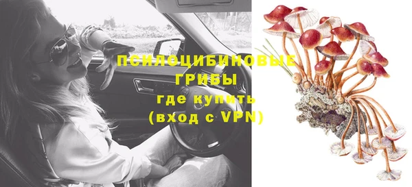 Альфа ПВП Лабытнанги