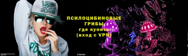 дурь Ладушкин