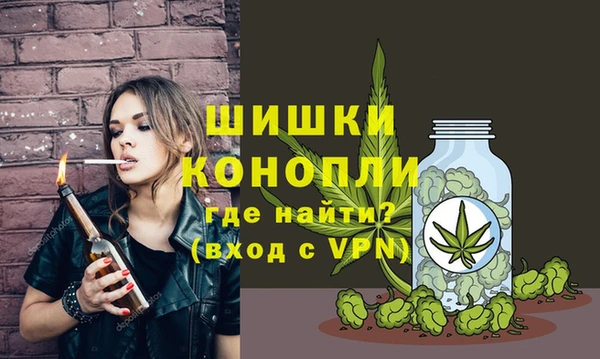 дурь Ладушкин
