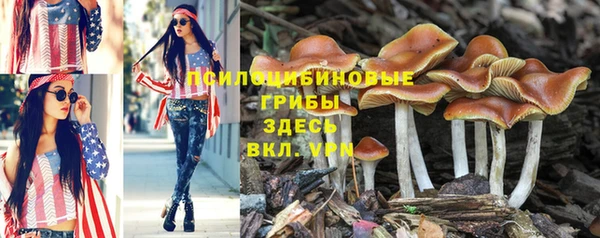 Альфа ПВП Лабытнанги