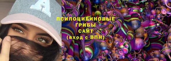 Альфа ПВП Лабытнанги