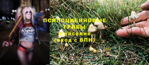 ешки Новый Уренгой