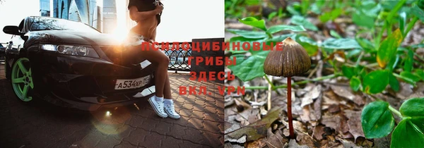 ешки Кукмор